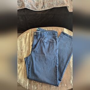 Tommy Bahama Blue Mens Chinos pants size 36x30 relaxed coastal